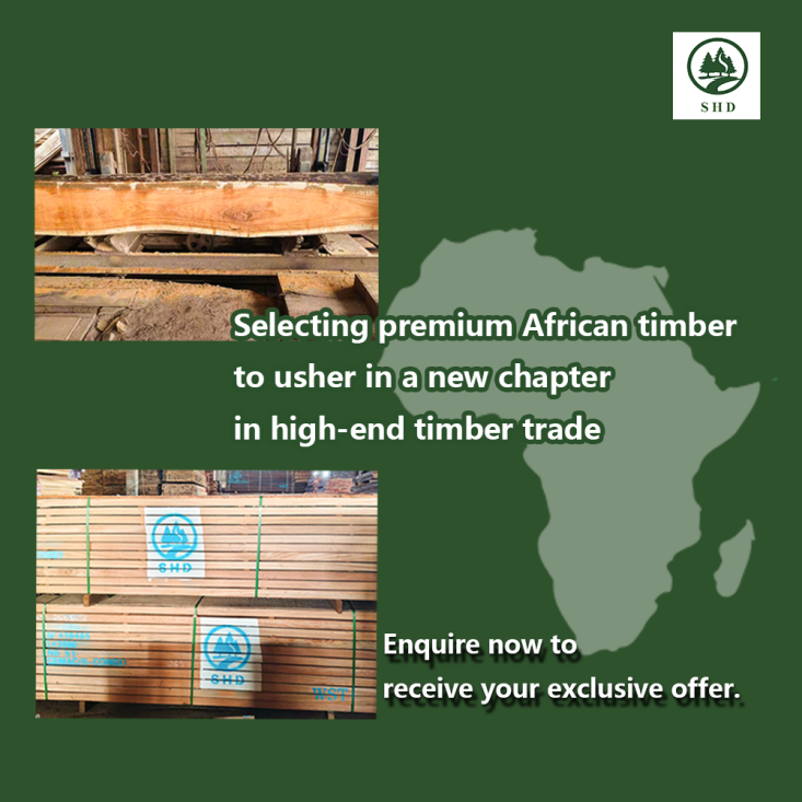 A Unique Treasure Among African Hardwoods 