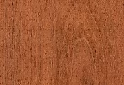 Jatoba