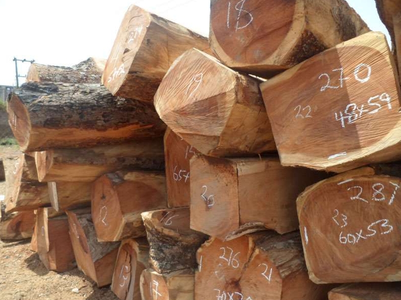TOP 10 Doussie Wood Manufacturers in France