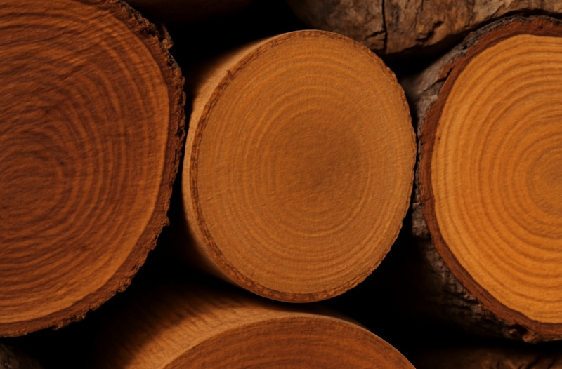 What Should I Know Before Choosing A Wholesale Hardwood Supplier?