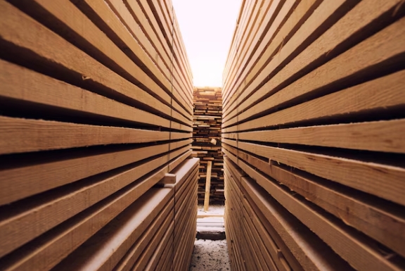 Which Countries Offer the Top Quality Timber for Wholesalers