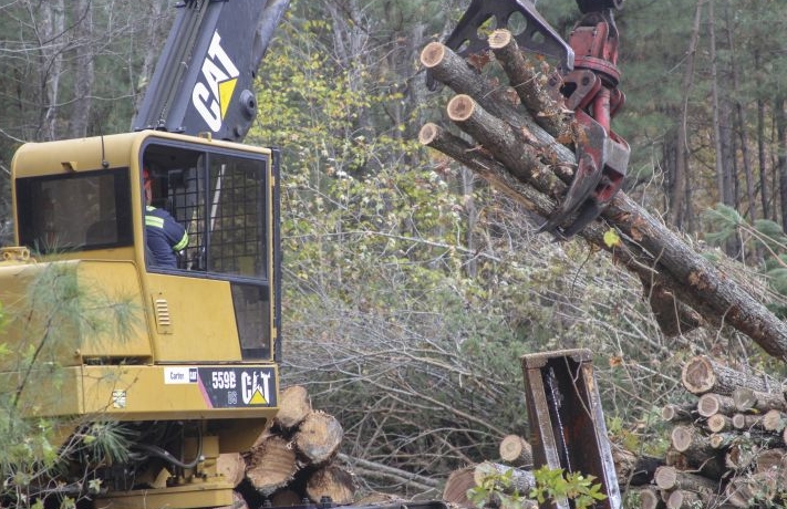 Hardwood Timber Provider