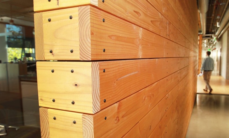 Timber Asset Management Firms
