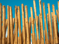 //iprorwxhlpqrlp5p.ldycdn.com/cloud/loBpiKmiliSRjlkoqnqlkq/Best-Okoume-Wood-Manufacturers-And-Suppliers-in-Italy.jpg