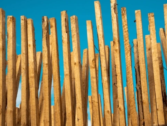 Meilleurs fabricants et fournisseurs en bois okoume en Italie