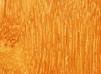 //iprorwxhlpqrlp5p.ldycdn.com/cloud/loBpiKmiliSRjlqqnlpikq/Best-Doussie-Wood-Manufacturers-And-Suppliers-in-China.jpg