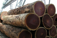 //iprorwxhlpqrlp5p.ldycdn.com/cloud/loBpiKmiliSRklilkqmqkq/Top-10-Azobe-Timber-Suppliers-in-China.jpg