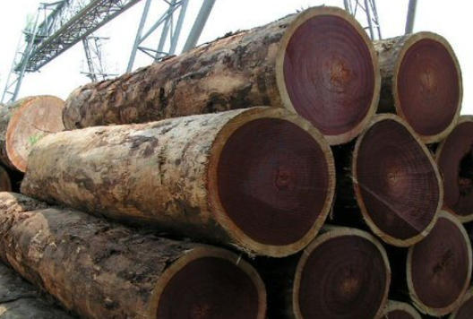 Top 10 Azobe Timber Suppliers in China