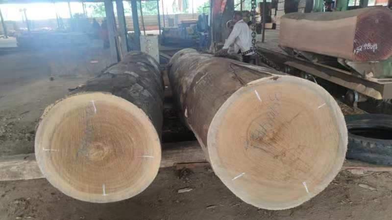 Get To Know Dabema Wood