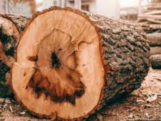 Hardwood Flooring Suppliers Mozambique