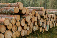 //iprorwxhlpqrlp5p.ldycdn.com/cloud/loBpiKmiliSRkllkinprko/Top-Hardwood-Manufacturers-And-Suppliers-in-Congo-Brazzaville.jpg