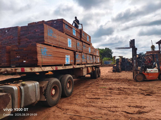 Kossipo Wood