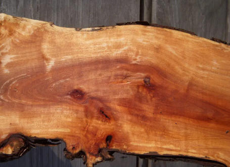 Is Apple Wood A Hardwood