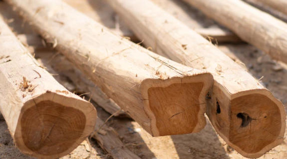 Where Can I Find Teak Wood?