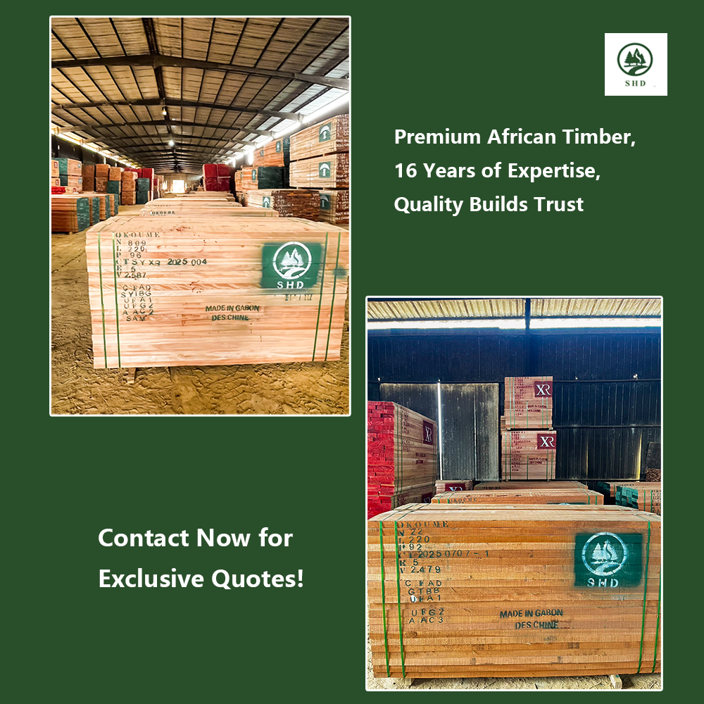 Okoumé (OKOUME): The King of African Timber, A Global Market Darling