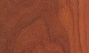 Padauk