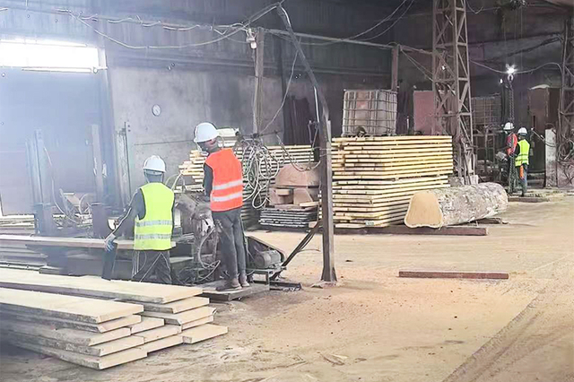 Dabema Wood factory