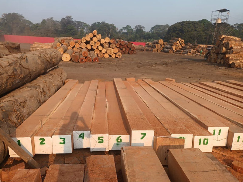 Wood Durability