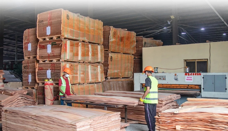 Buy Okoume Wood In France