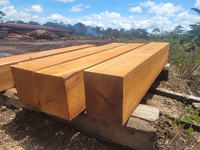 //iprorwxhlpqrlp5p.ldycdn.com/cloud/lpBpiKmiliSRilmrqiknko/Top-Jatoba-Timber-Manufacturers-Arabia.jpg