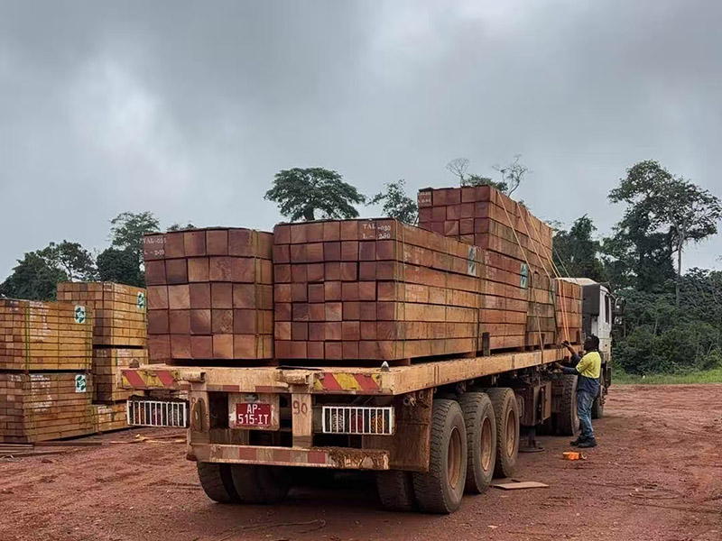 Premium Tali Wood Distributors Arabia