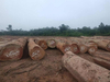 Azobe Round Logs