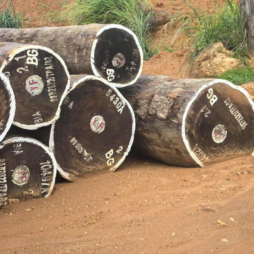 Bilinga Round Logs（8）