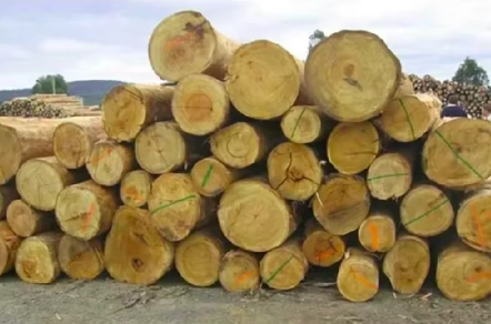 Best Balsamo Wood Manufacturers And Suppliers in Italy