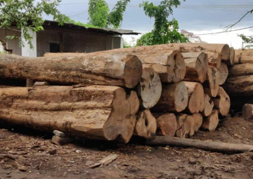 Azobe Hardwood Distributors China