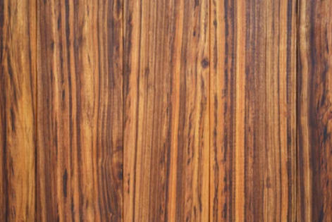 Zebra Wood Taxonomy Details