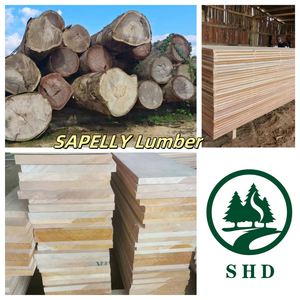 The feature of Sapelli (4)