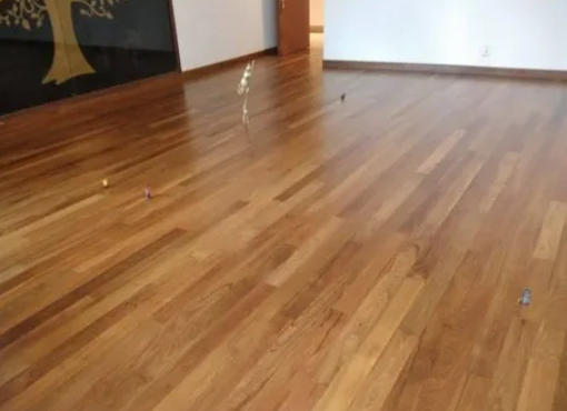 Zebra Wood Flooring Retailers