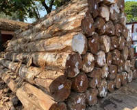 //iprorwxhlpqrlp5p.ldycdn.com/cloud/lpBpiKmiliSRllmjpkolkq/Teak-Wood-Log-Importers-China.jpg