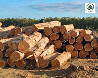 //iprorwxhlpqrlp5p.ldycdn.com/cloud/lpBpiKmiliSRllnjqrjoko/Tropical-Timber.png