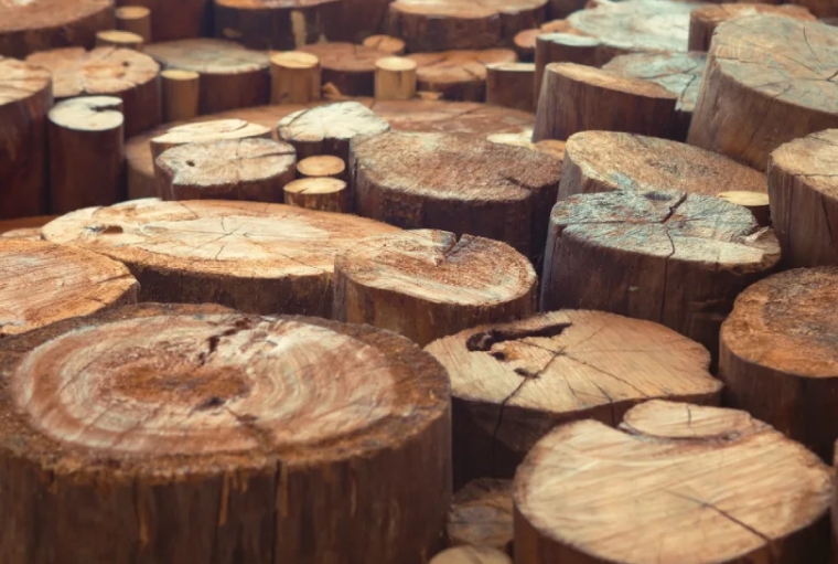 Can You Paint Old Teak Wood with Bright Colors?