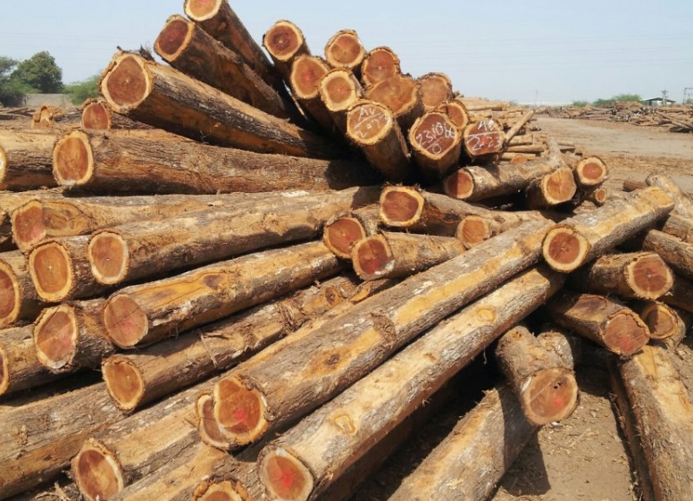How Durable Is Ekop Beli Wood for Outdoor And Indoor Use?