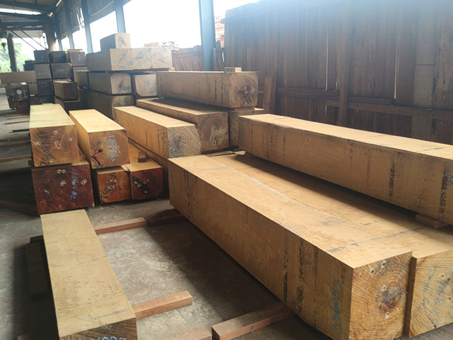 Green Timber Vs Kiln-Dried Timber: Which Should You Choose?