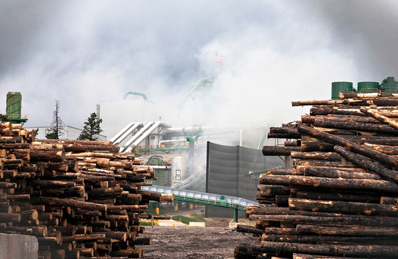 Plum Creek Timber Company History