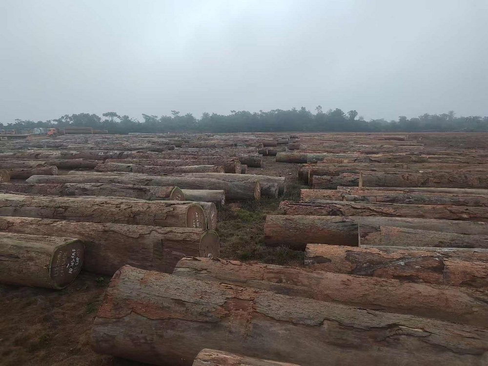 Azobe Round Logs（8）