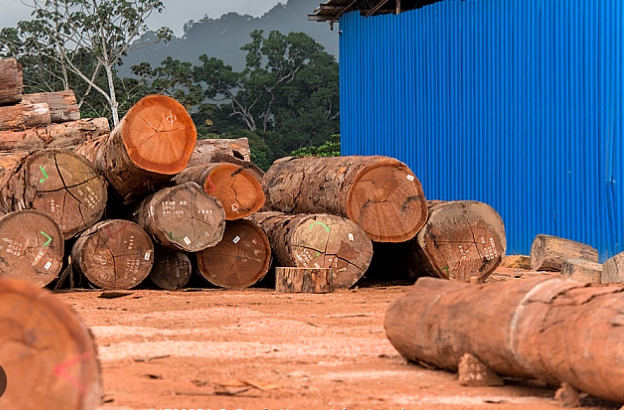 Okoume Wood Sheet Suppliers China