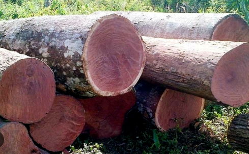 Custom Balsamo Wood Products Italy