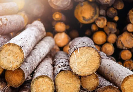 Hardwood Timber Suppliers Congo Brazzaville