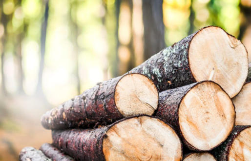 Mozambique Wood Manufacturers