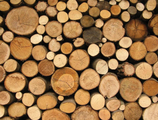 Top 10 Hardwood Log Suppliers in China