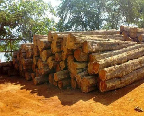 Premium Azobe Hardwood Suppliers China