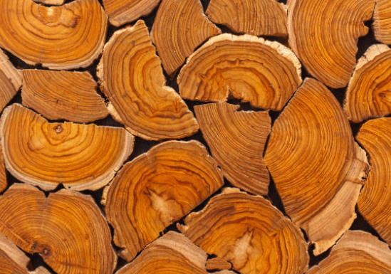 Is Teak A Good Wood for Cutting Board