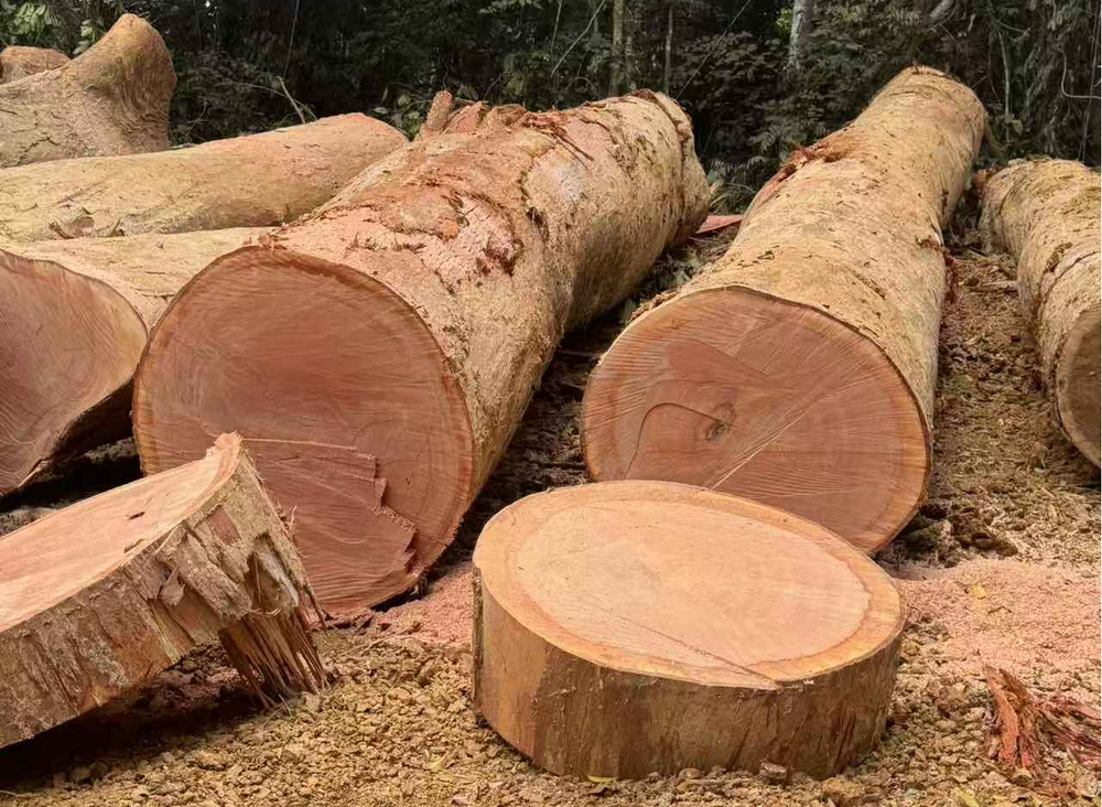 Okoume Wood (1)