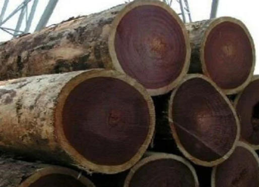 Wenge Wood Skin Irritation Wenge Wood Skin Irritation