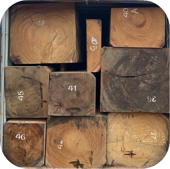 16 Years of Excellence as Your Trusted Global Supplier of African Hardwood & Beyond (5)