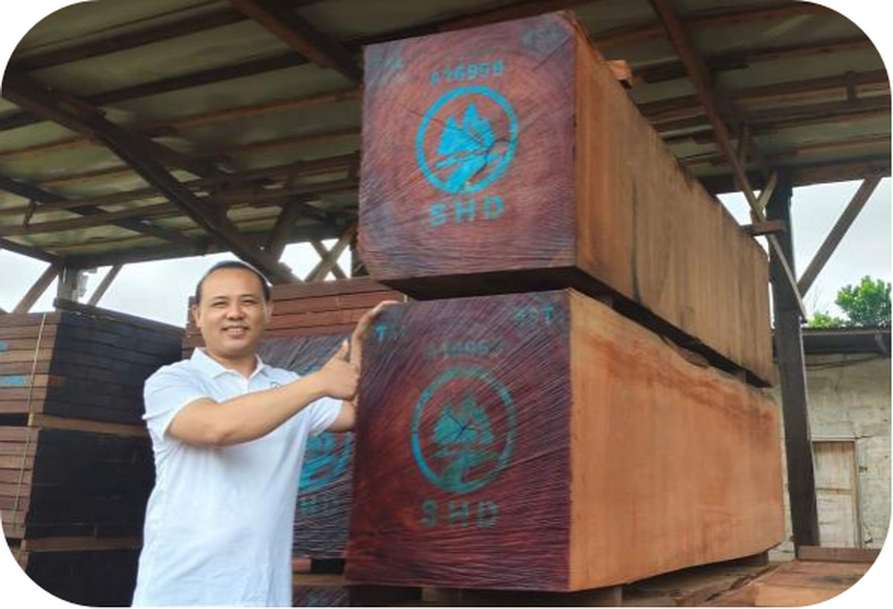 16 Years of Excellence as Your Trusted Global Supplier of African Hardwood & Beyond (4)